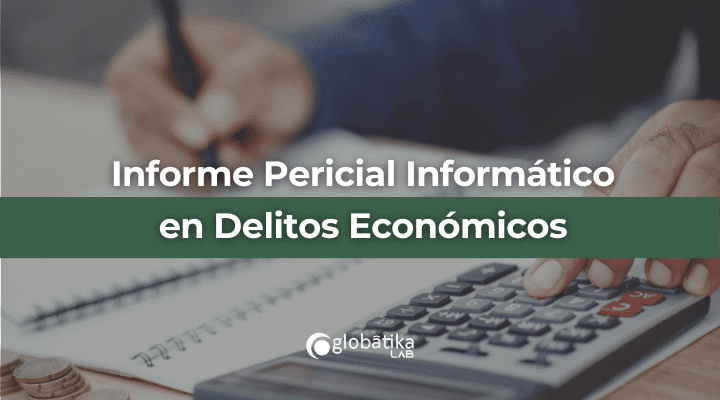 Informe Pericial Informático en Delitos Económicos