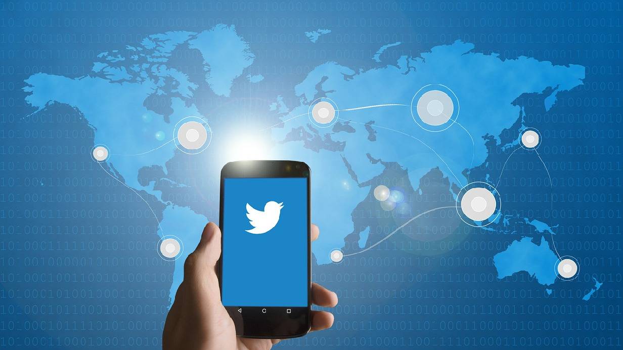 Perito Informático Twitter