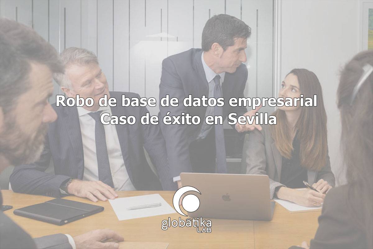 Robo de base de datos empresarial en Sevilla