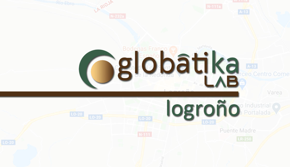 Perito Informático Logroño