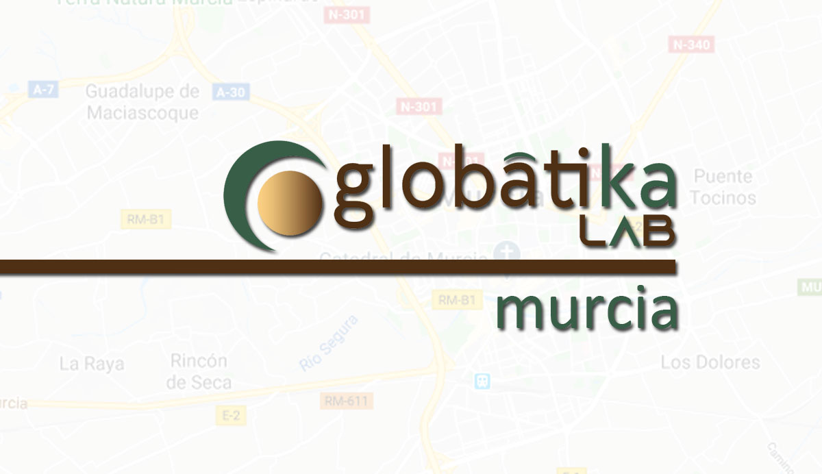 Perito Informático en Murcia