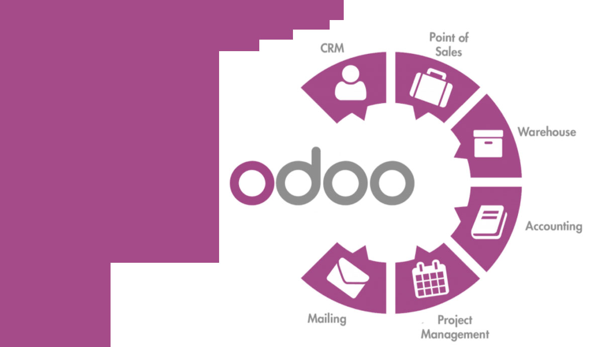 Peritación informática de Odoo