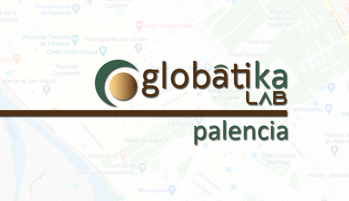 Perito Informático en Palencia