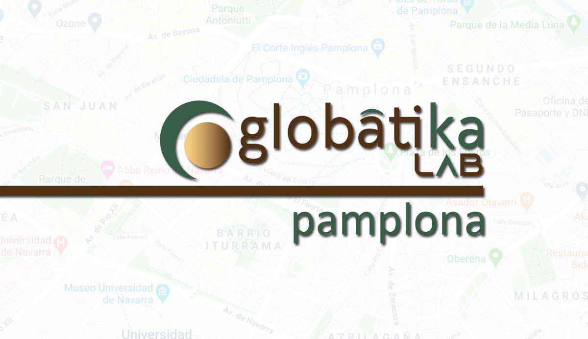 Perito Informático Pamplona