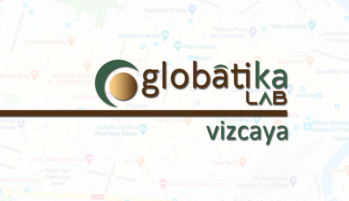 Perito Informático en Vizcaya